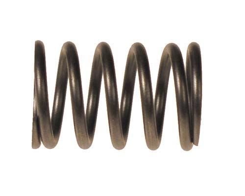 Picture of VALVE SPRING-EZGO RXV