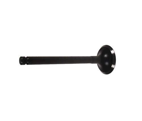 Picture of CZ-249  EXHAUST VALVE- EZGO RXV 7612