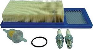 Picture for category Tune Up Kits & Filters (Ezgo)