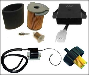 Picture for category Tune Up Kits, Filters, Spark Plugs, Ignition Parts