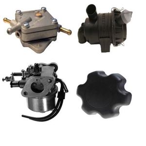 Picture for category Carburetors, Intake, Fuel Pumps & Fuel Parts