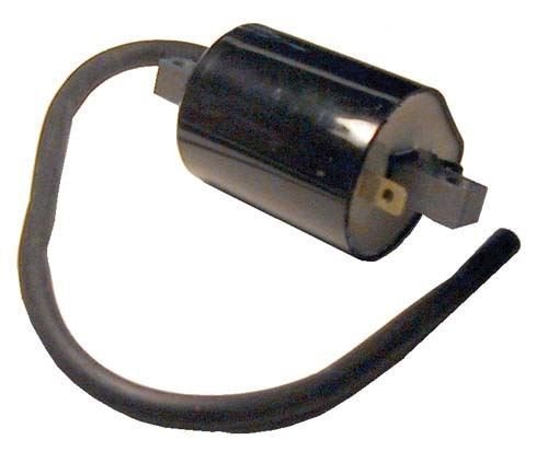 Picture of IGNITION COIL YAM G2,G9