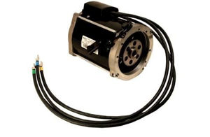 Picture of 8331 Motor, RXV AC EZGO 48v