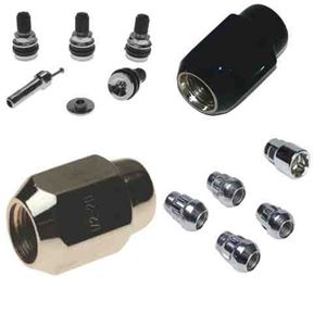 Picture for category Lugs Nuts, Bolts & Valve Extesions