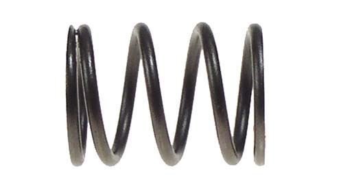 Picture of CC VALVE SPRING - 341CC 84-91