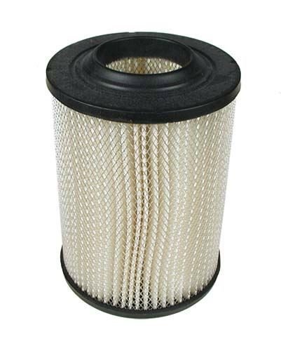 Picture of AIR FILTER for CC gas  84-91 (OEM)