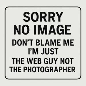 Picture of StarEV OEM 2PB120 Handle - Lever