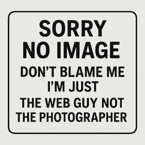 Picture of StarEV OEM 2PB110 Handle - Lever (#18-B)