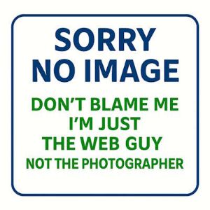 Picture of StarEV OEM 2PD250 PEDAL-Accelerator Pedal Pad Only