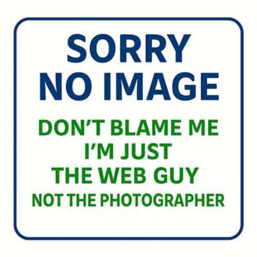 Picture of StarEV OEM 2PD250 PEDAL-Accelerator Pedal Pad Only